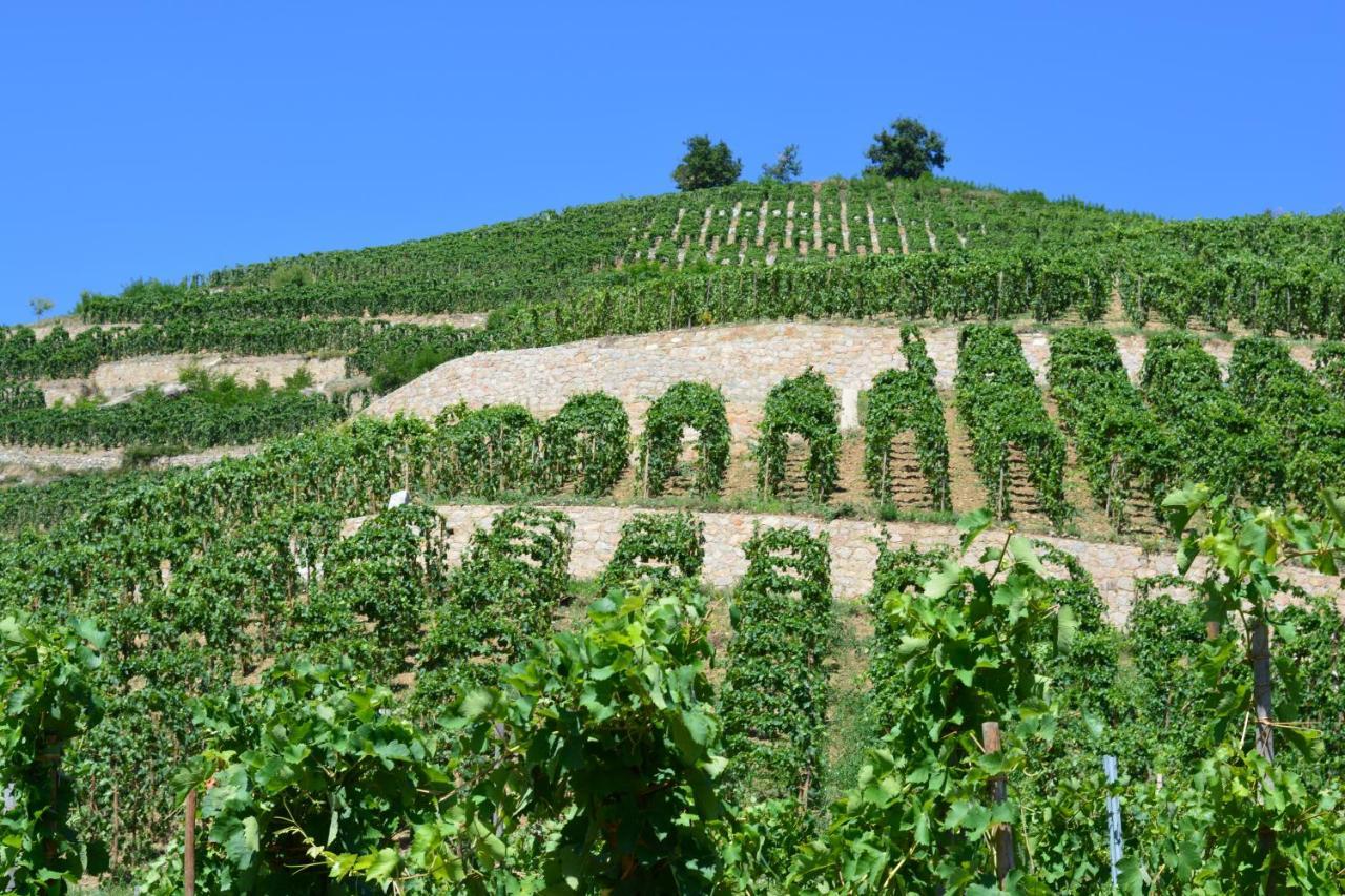 Lamaisondemamere Tournon-sur-Rhone Exterior foto